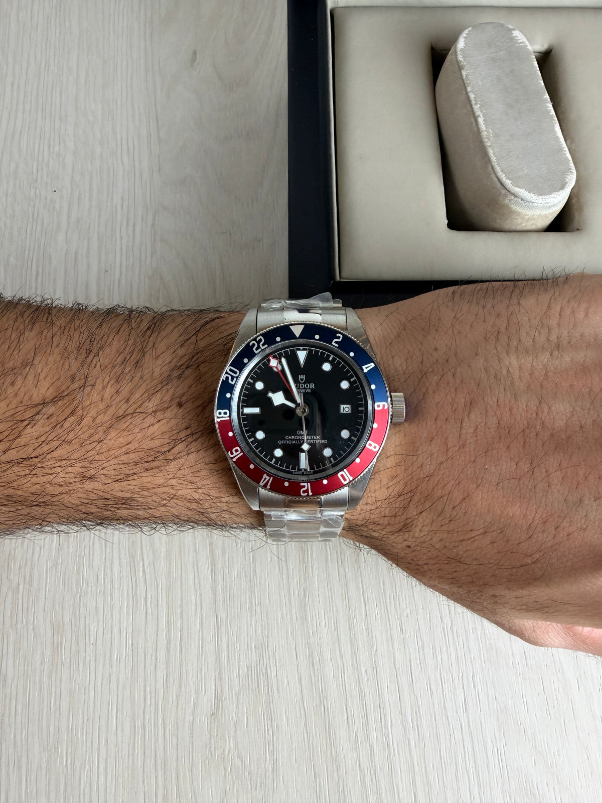 TUDOR BLACK BAY PRATA PEPSI 41M