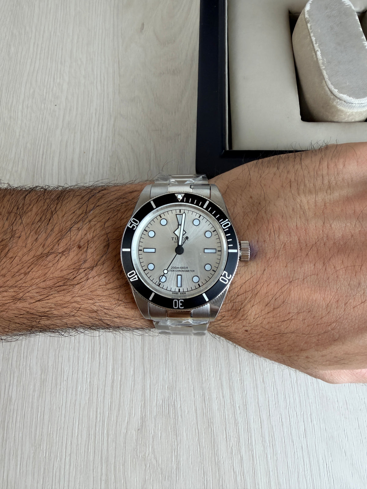 TUDOR BLACK BAY PRATA 41M